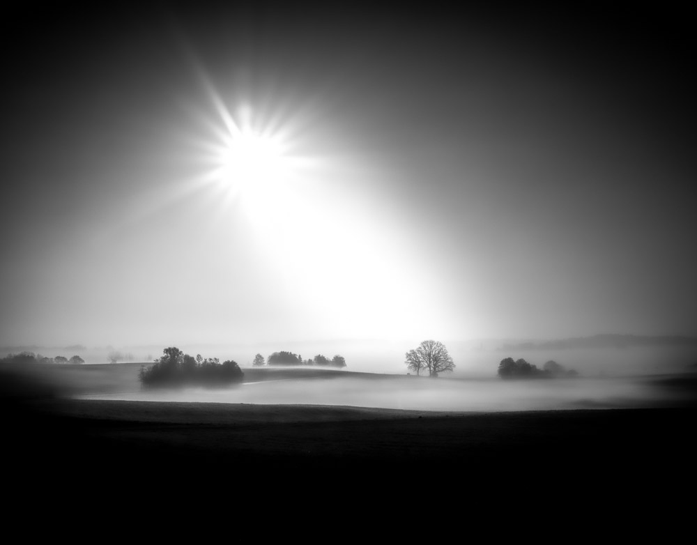 Platz 8 Christoph Frank